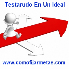 testarudo testarudo